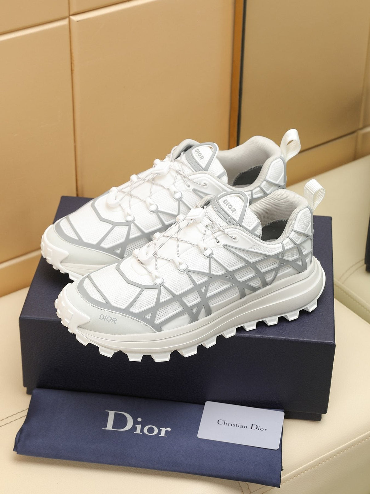 Dior B31 Runner White and Light Gray Sneakers