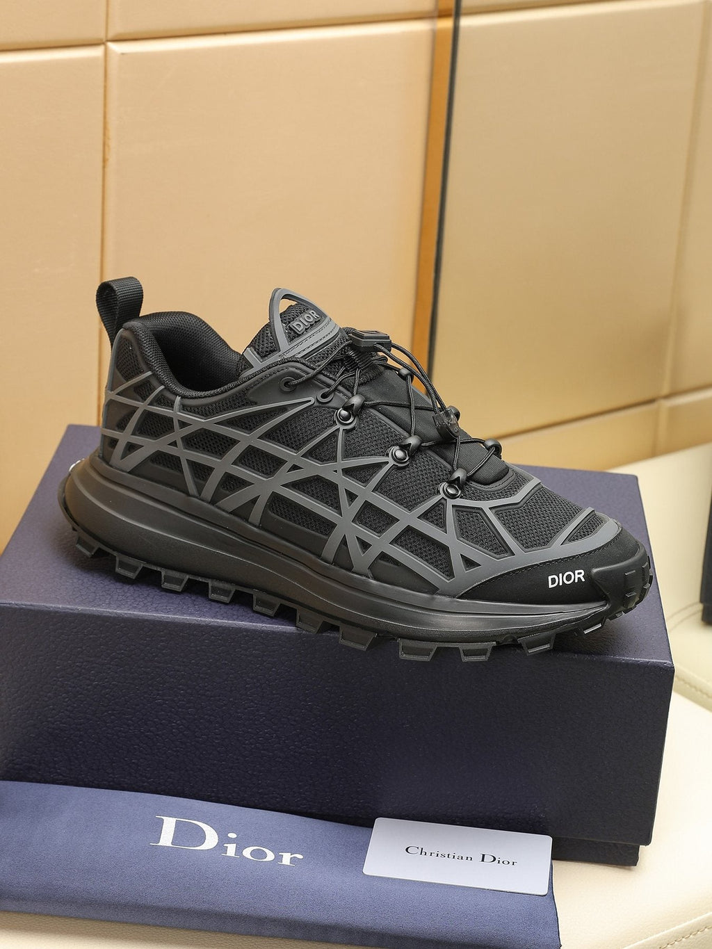 Dior B31 Runner White and Light Gray Sneakers